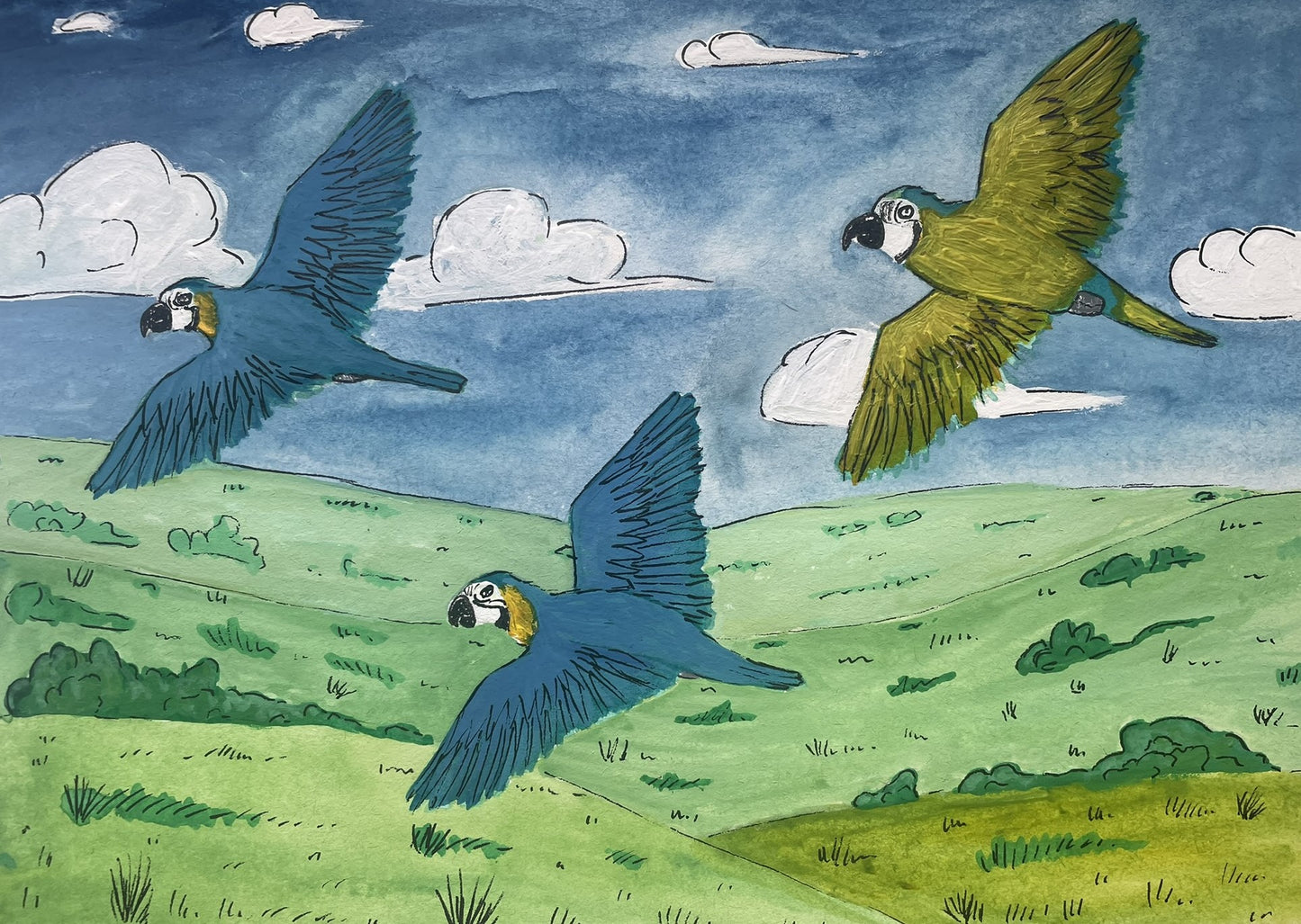 Bright over Wilds - Art Print