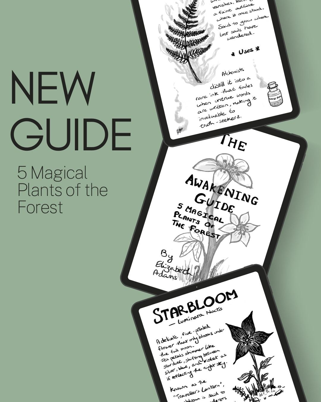 The Awakening Guide – 5 Magical Plants of the Forest (Digital Download)