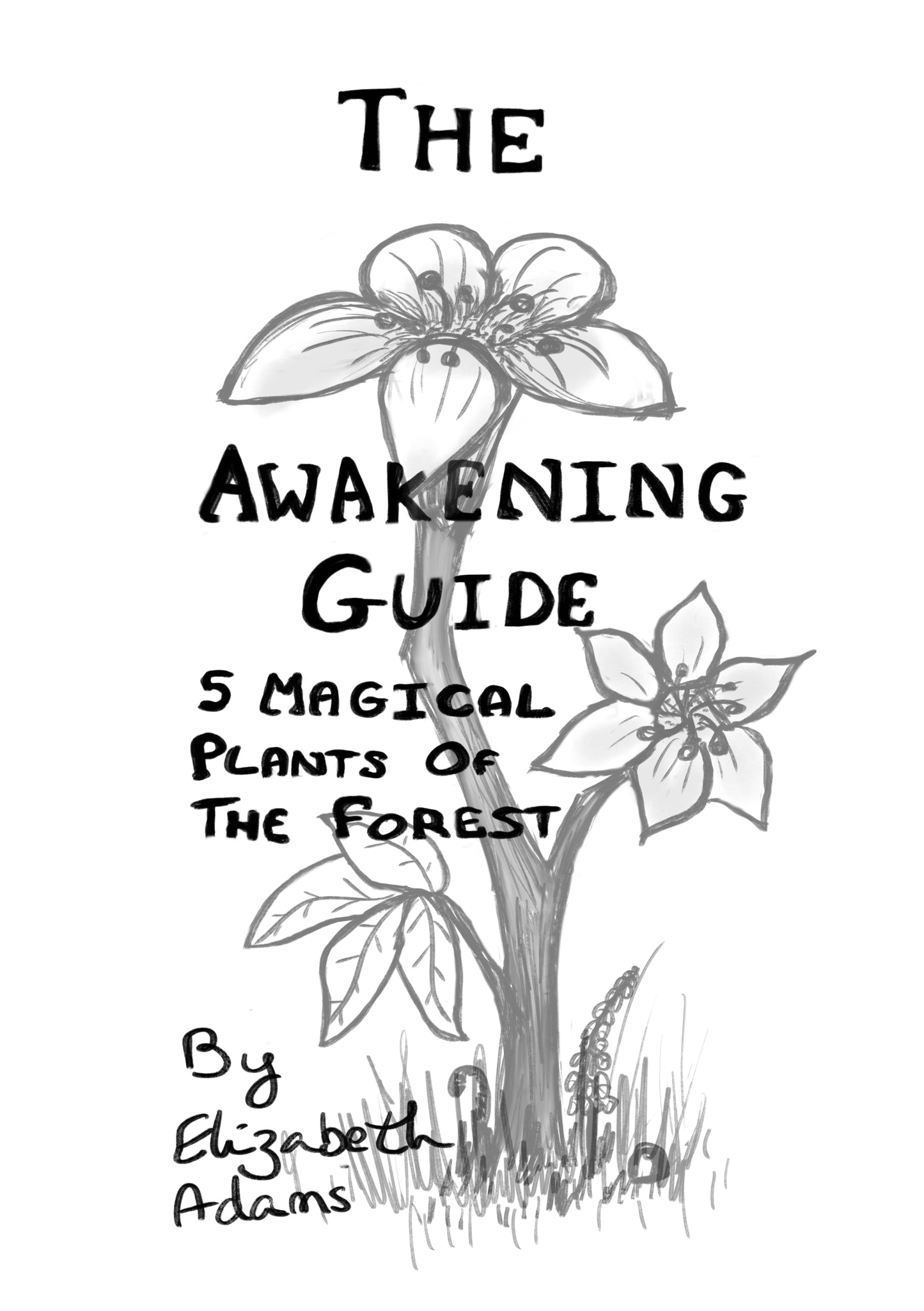 The Awakening Guide – 5 Magical Plants of the Forest (Digital Download)