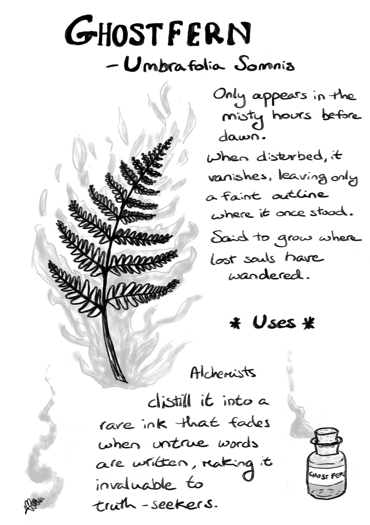 The Awakening Guide – 5 Magical Plants of the Forest (Digital Download)