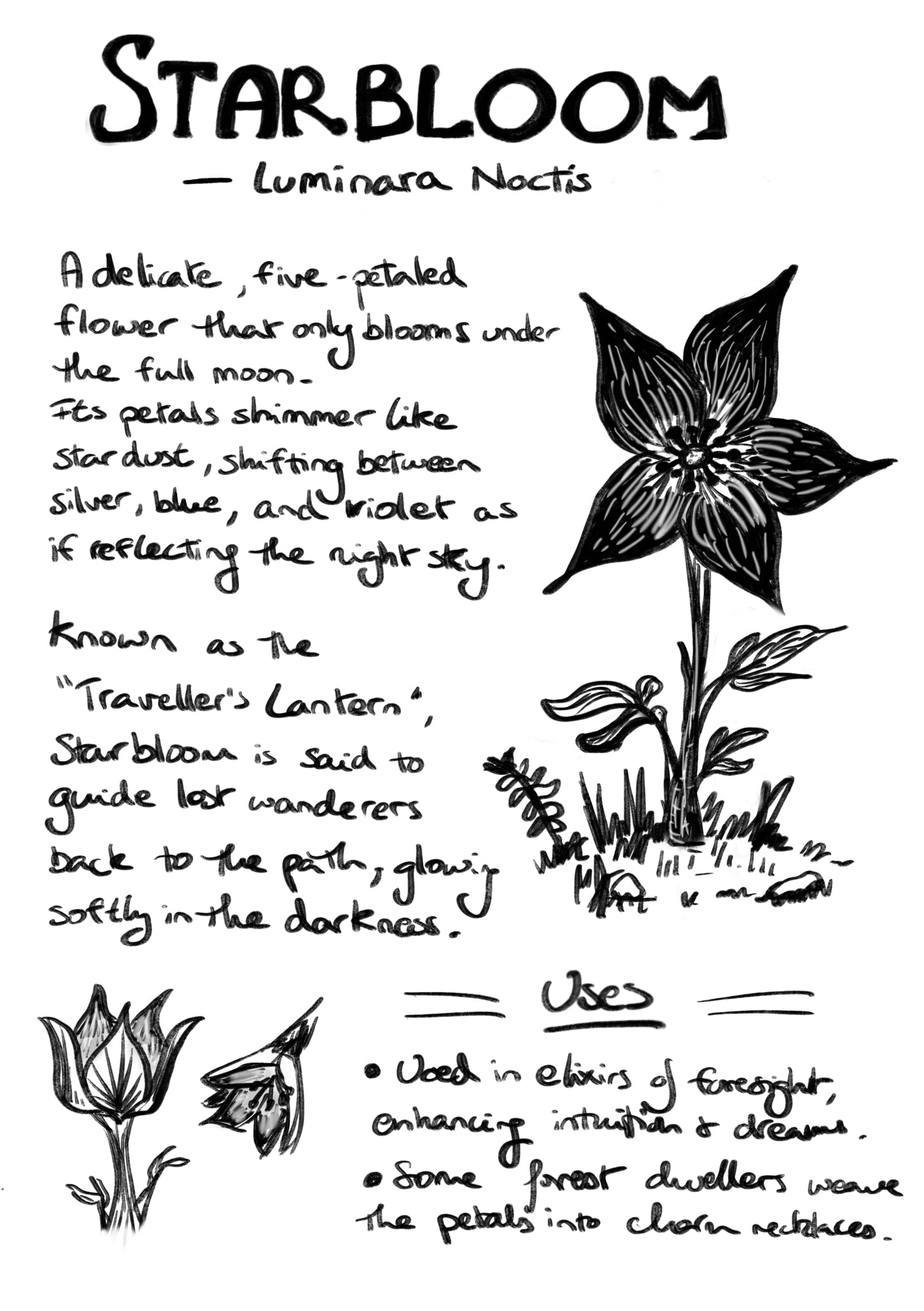 The Awakening Guide – 5 Magical Plants of the Forest (Digital Download)